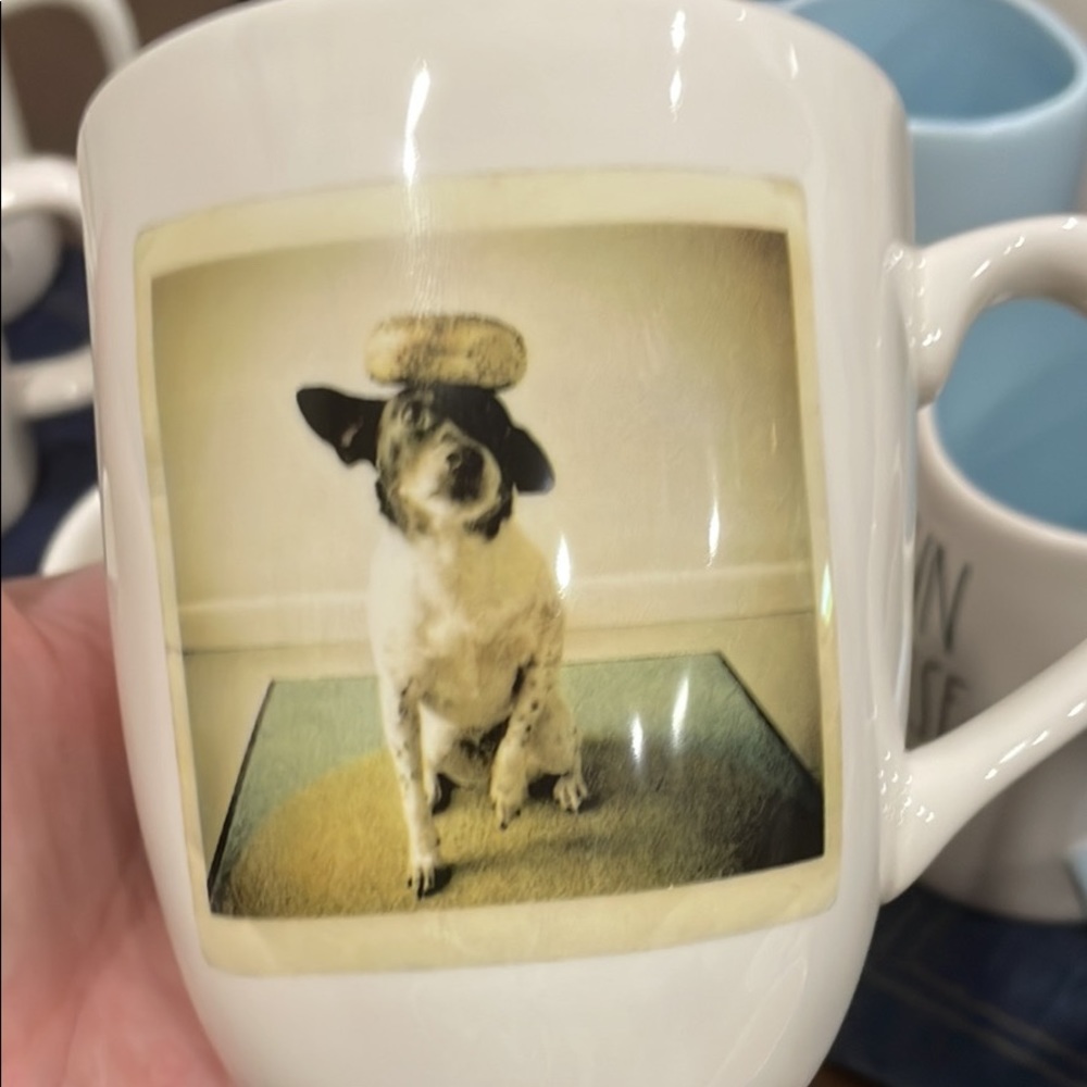 Vintage Rae Dunn mug 2017